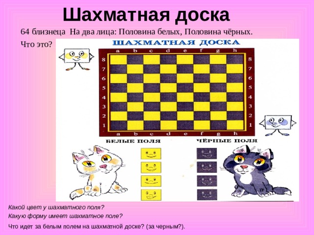 Шахматная доска 64 близнеца На два лица: Половина белых, Половина чёрных. Что это? Какой цвет у шахматного поля ?   Какую форму имеет шахматное поле ? Что идет за белым полем на шахматной доске ? ( за черным ?) . 