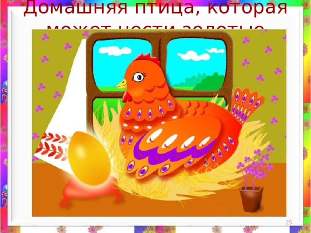 Домашняя птица, которая может нести золотые яйца.  