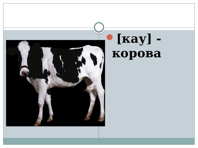 [кау] - корова 