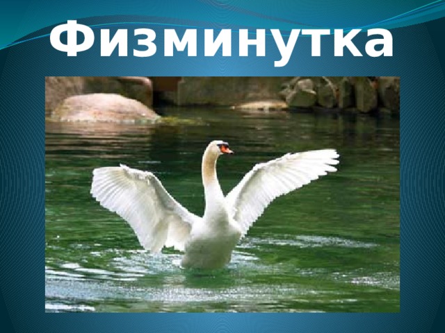 Физминутка 