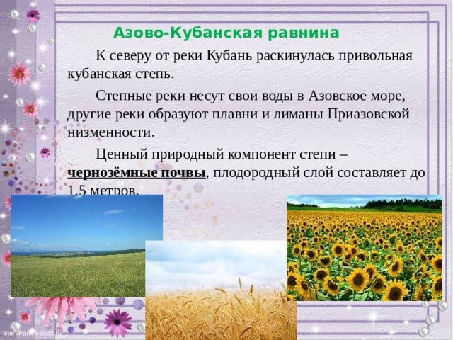 Азово-Кубанская равнина (Кубано-Приазовская низменность). Азово Кубанская степь. Главное богатство степей