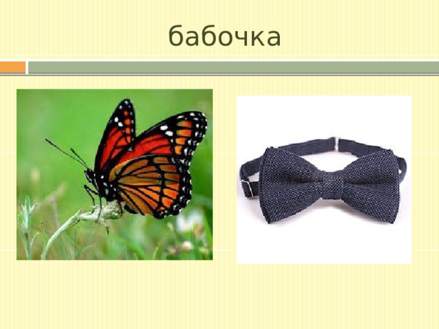 бабочка 