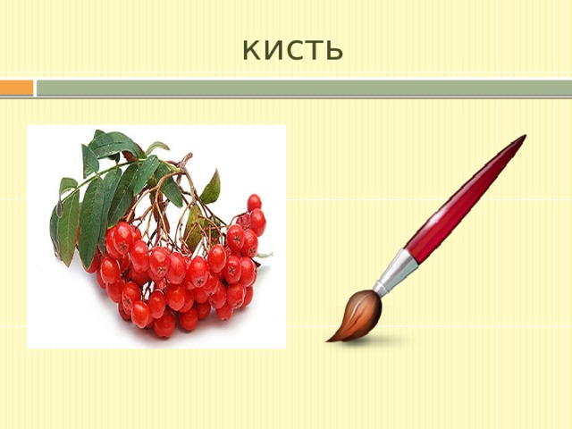 кисть 