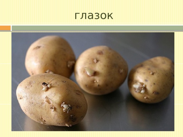 глазок 