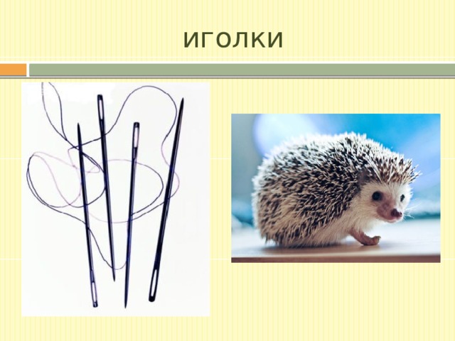 иголки 