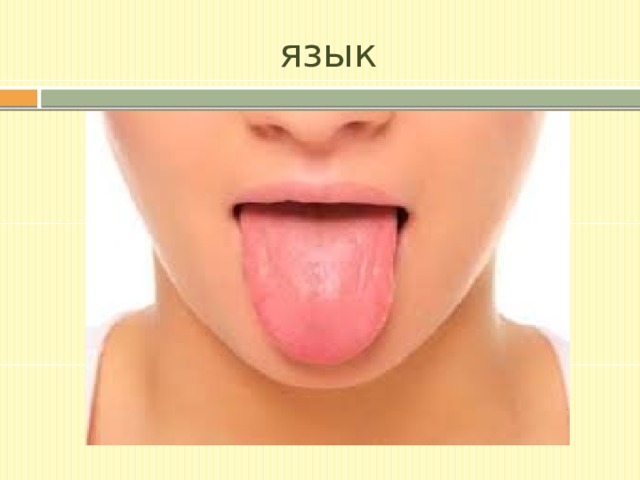 язык 