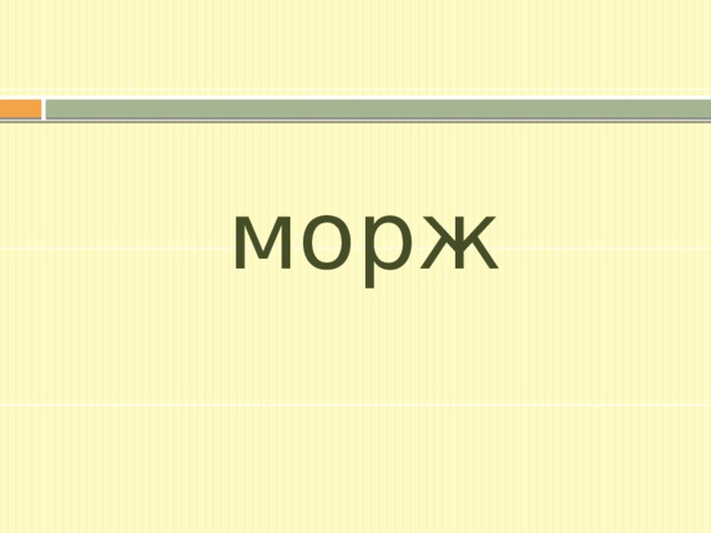морж 