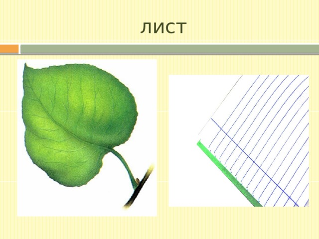 лист 