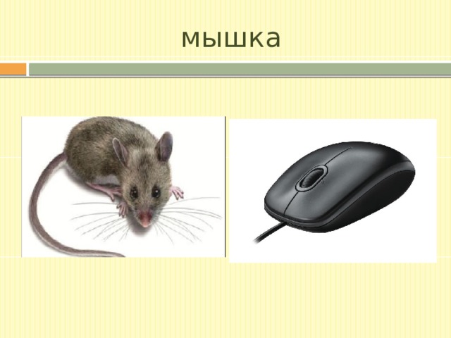 мышка 