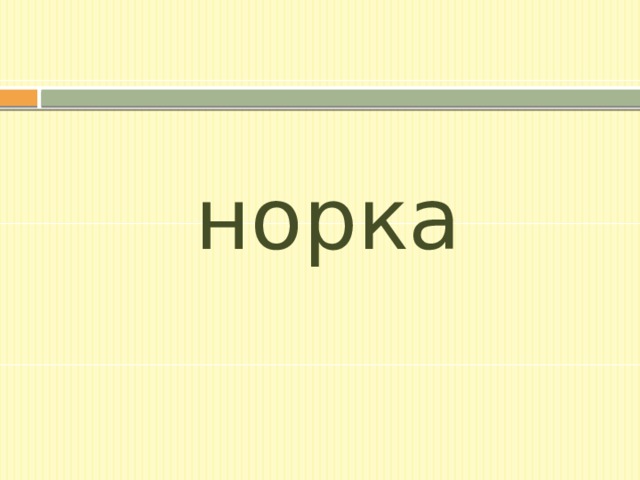 норка 