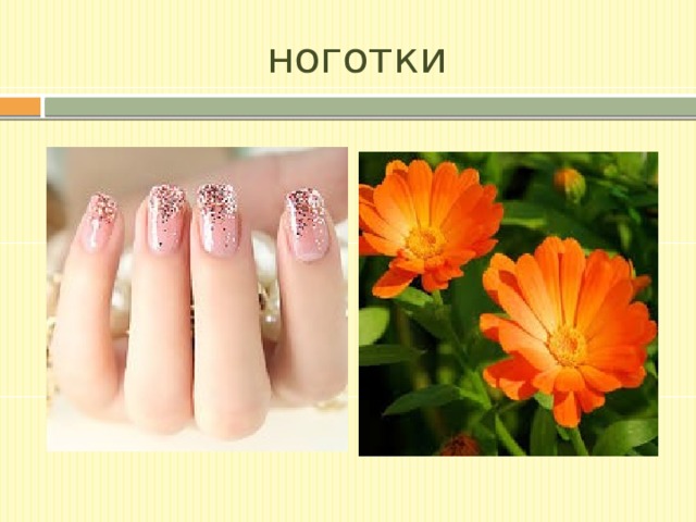 ноготки 