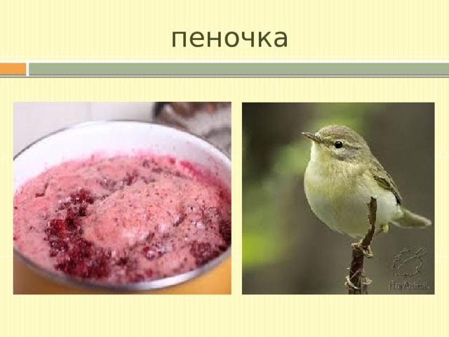 пеночка 