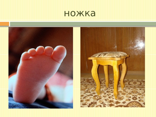 ножка 