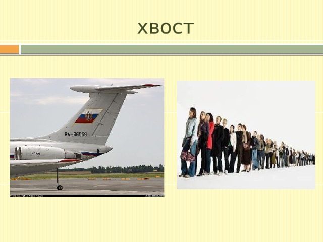 хвост 