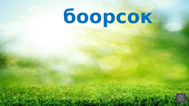  боорсок   СссС 