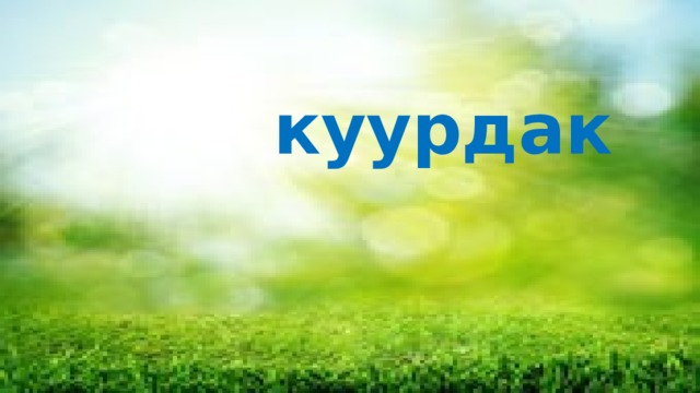 СссС  куурдак   