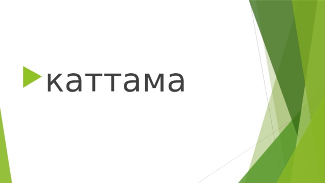 каттама 