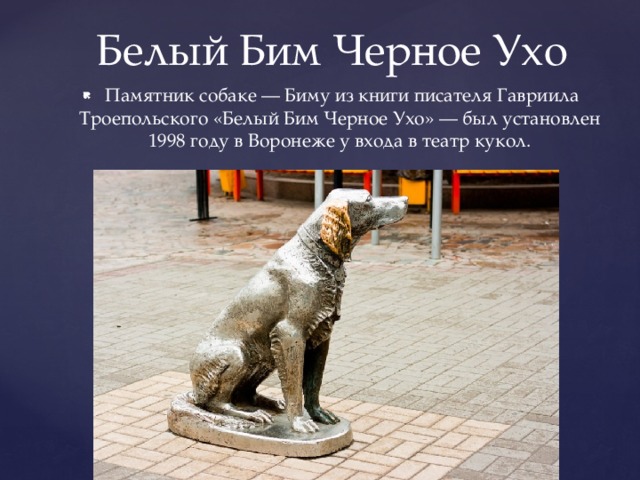Белый Бим Черное Ухо  Памятник собаке — Биму из книги писателя Гавриила Троепольского «Белый Бим Черное Ухо» — был установлен 1998 году в Воронеже у входа в театр кукол. 