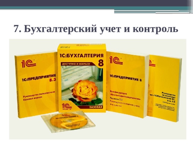 7. Бухгалтерский учет и контроль 