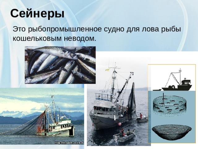 Сейнеры   Это рыбопромышленное судно для лова рыбы кошельковым неводом.  