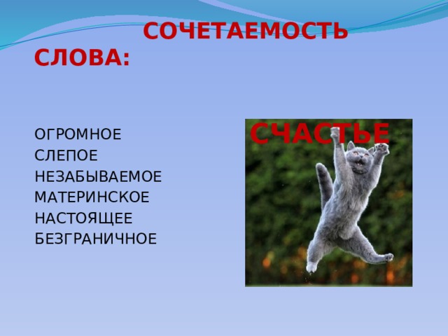  СОЧЕТАЕМОСТЬ СЛОВА:  СЧАСТЬЕ ОГРОМНОЕ СЛЕПОЕ НЕЗАБЫВАЕМОЕ МАТЕРИНСКОЕ НАСТОЯЩЕЕ БЕЗГРАНИЧНОЕ 