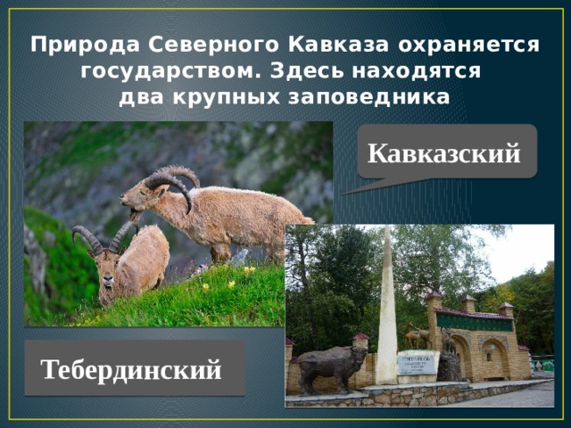 Природа Северного Кавказа охраняется государством. Здесь находятся  два крупных заповедника Кавказский Тебердинский  
