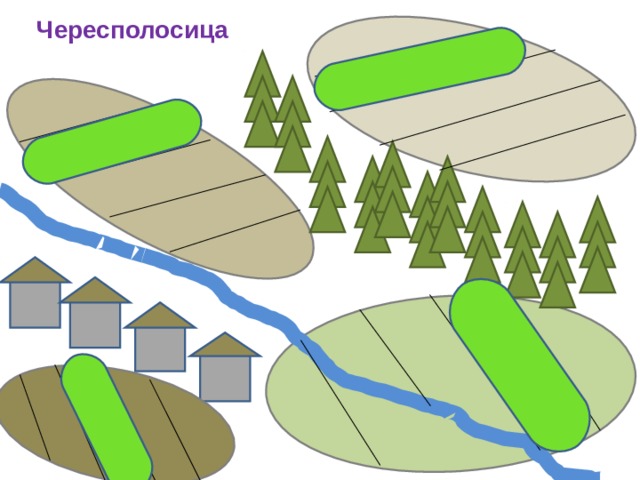 Чересполосица 