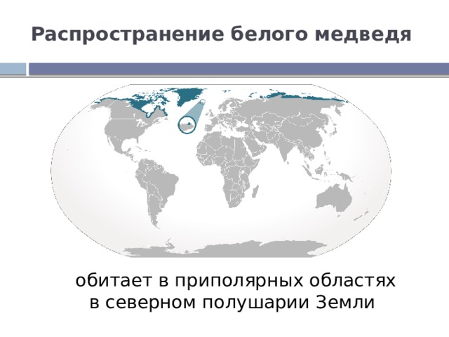 На территории какого государства обитает белый медведь. Распространение белого медведя. Распространение белых медведей на карте. Ареал распространения белого медведя. Ареал обитания белых медведей в России.