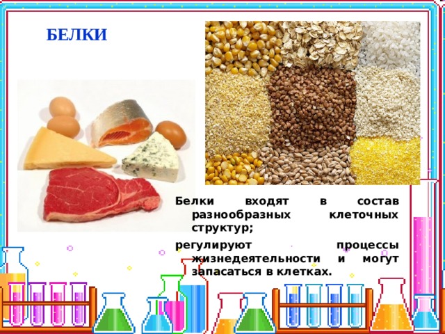 БЕЛКИ Белки входят в состав разнообразных клеточных структур; регулируют процессы жизнедеятельности и могут запасаться в клетках. 