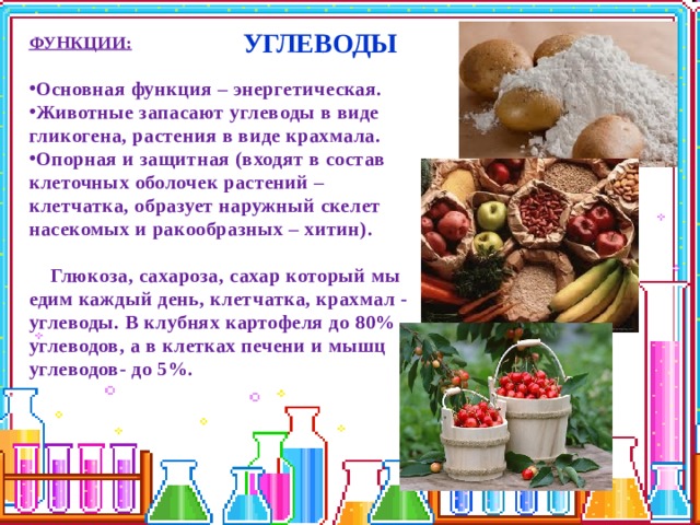 УГЛЕВОДЫ ФУНКЦИИ:  Основная функция – энергетическая. Животные запасают углеводы в виде гликогена, растения в виде крахмала. Опорная и защитная (входят в состав клеточных оболочек растений – клетчатка, образует наружный скелет насекомых и ракообразных – хитин).   Глюкоза, сахароза, сахар который мы едим каждый день, клетчатка, крахмал - углеводы. В клубнях картофеля до 80% углеводов, а в клетках печени и мышц углеводов- до 5%. 