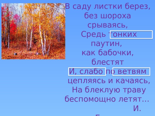 В саду листки берез, без шороха срываясь,  Средь тонких паутин, как бабочки, блестят  И, слабо по ветвям  цепляясь и качаясь,  На блеклую траву беспомощно летят…   И. Бунин 