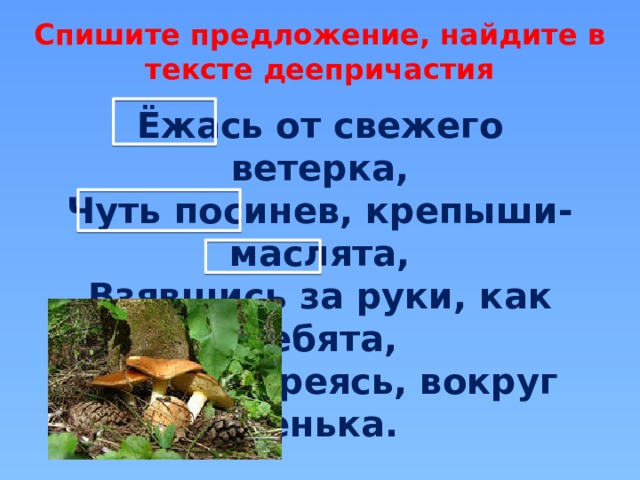 Спишите предложение, найдите в тексте деепричастия Ёжась от свежего ветерка, Чуть посинев, крепыши-маслята, Взявшись за руки, как ребята, Топают, греясь, вокруг пенька.  Э.Асадов «Лес» 