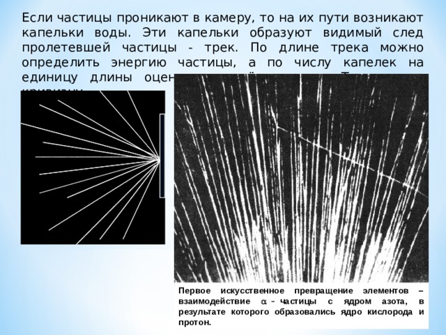 Если частицы проникают в камеру, то на их пути возникают капельки воды. Эти капельки образуют видимый след пролетевшей частицы - трек. По длине трека можно определить энергию частицы, а по числу капелек на единицу длины оценивается её скорость. Трек имеет кривизну. Первое искусственное превращение элементов – взаимодействие  льфа частицы с ядром азота, в результате которого образовались ядро кислорода и протон. Первое искусственное превращение элементов – взаимодействие   частицы с ядром азота, в результате которого образовались ядро кислорода и протон. 7 