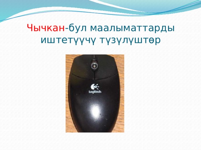 Чычкан -бул маалыматтарды иштетүүчү түзүлүштөр 