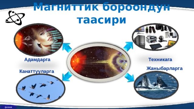 Магниттик бороондун таасири Адамдарга Техникага Жаныбарларга Канаттууларга физика 