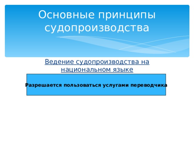 Основные принципы судопроизводства Ведение судопроизводства на национальном языке Разрешается пользоваться услугами переводчика 