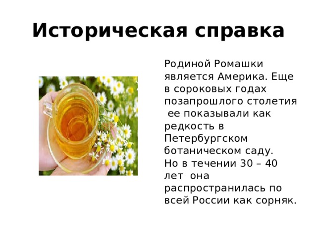 Историческая справка Родиной Ромашки является Америка. Еще в сороковых годах позапрошлого столетия ее показывали как редкость в Петербургском ботаническом саду. Но в течении 30 – 40 лет она распространилась по всей России как сорняк. 