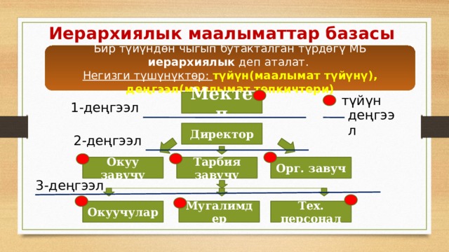 Иерархиялык маалыматтар базасы Бир түйүндөн чыгып бутакталган түрдөгү МБ иерархиялык деп аталат. Негизги түшүнүктөр: түйүн(маалымат түйүнү), деңгээл(маалымат тепкичтери) түйүн Мектеп 1-деңгээл деңгээл Директор 2-деңгээл Орг. завуч Тарбия завучу Окуу завучу 3-деңгээл Мугалимдер Тех. персонал Окуучулар 