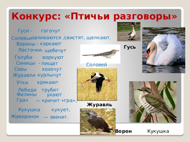 Конкурс: «Птичьи разговоры» гогочут Гуси - заливаются ,свистят, щелкают. Соловьи - каркают Вороны - Гусь Ласточки - щебечут    воркуют Голуби  Синицы  -   пищат Соловей хохочут Совы    курлычут Журавли  крякают  Утки   трубят Лебеди Филины   ухают Грач — кричит «гра»,    Кукушка  Журавль кукует, Жаворонок — звенит. Кукушка Ворон 