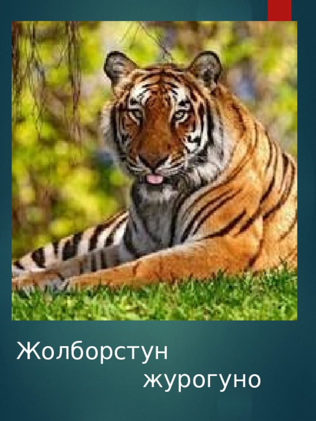 Жолборстун                                 журогуно 