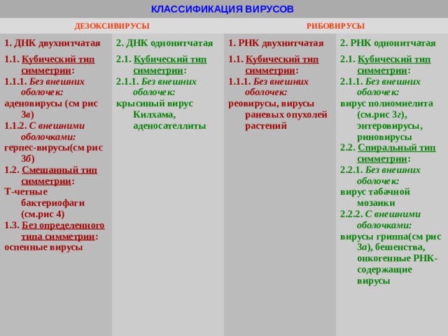 КЛАССИФИКАЦИЯ ВИРУСОВ ДЕЗОКСИВИРУСЫ 1. ДНК двухнитчатая РИБОВИРУСЫ 2. ДНК однонитчатая 1.1. Кубический тип симметрии : 1.1.1. Без внешних оболочек: аденовирусы (см рис 3 в ) 1.1.2. С внешними оболочками: герпес-вирусы(см рис 3 б ) 1.2. Смешанный тип симметрии : Т-четные бактериофаги (см.рис 4) 1.3. Без определенного типа симметрии : оспенные вирусы 1. РНК двухнитчатая 2.1. Кубический тип симметрии : 2.1.1. Без внешних оболочек: крысиный вирус Килхама, аденосателлиты 2. РНК однонитчатая 1.1. Кубический тип симметрии : 1.1.1. Без внешних оболочек: реовирусы, вирусы раневых опухолей растений 2.1. Кубический тип симметрии : 2.1.1. Без внешних оболочек: вирус полиомиелита (см.рис 3 г ), энтеровирусы, риновирусы 2.2. Спиральный тип симметрии : 2.2.1. Без внешних оболочек: вирус табачной мозаики 2.2.2. С внешними оболочками: вирусы гриппа(см рис 3 а ), бешенства, онкогенные РНК-содержащие вирусы 