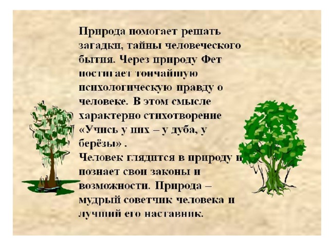 Анализ фета у дуба. Стих у дуба у березы. Учись у дуба у березы Фет. Стихотворение учись у них у дуба у березы. Стихи Фета о деревьях.