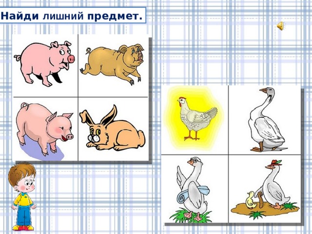 Найди лишний предмет. 