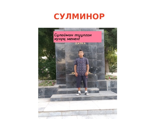 СУЛМИНОР 