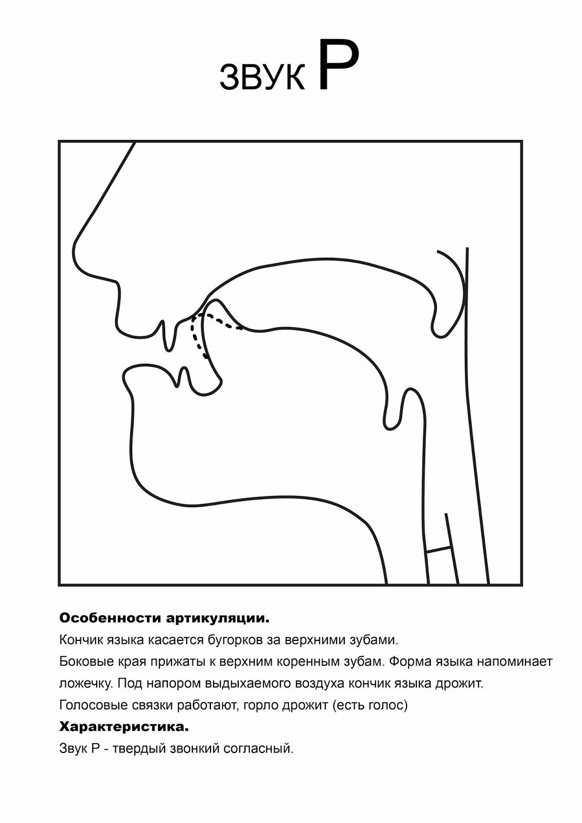 Схема артикуляции звука р