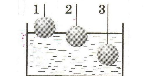На рисунке изображены три шара массы которых одинаковы плотность вещества какого из них наименьшая