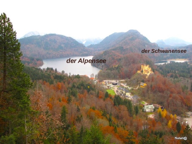 der Schwanensee der Alpensee der Schwanensee  