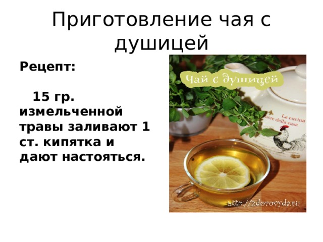 Приготовление чая с душицей Рецепт: 15 гр. измельченной травы заливают 1 ст. кипятка и дают настояться. 