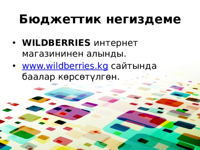 Бюджеттик негиздеме WILDBERRIES интернет магазининен алынды. www.wildberries.kg сайтында баалар көрсөтүлгөн. 