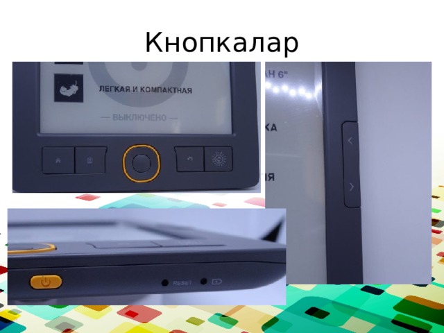 Кнопкалар 